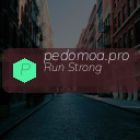 pedomoa.pro
